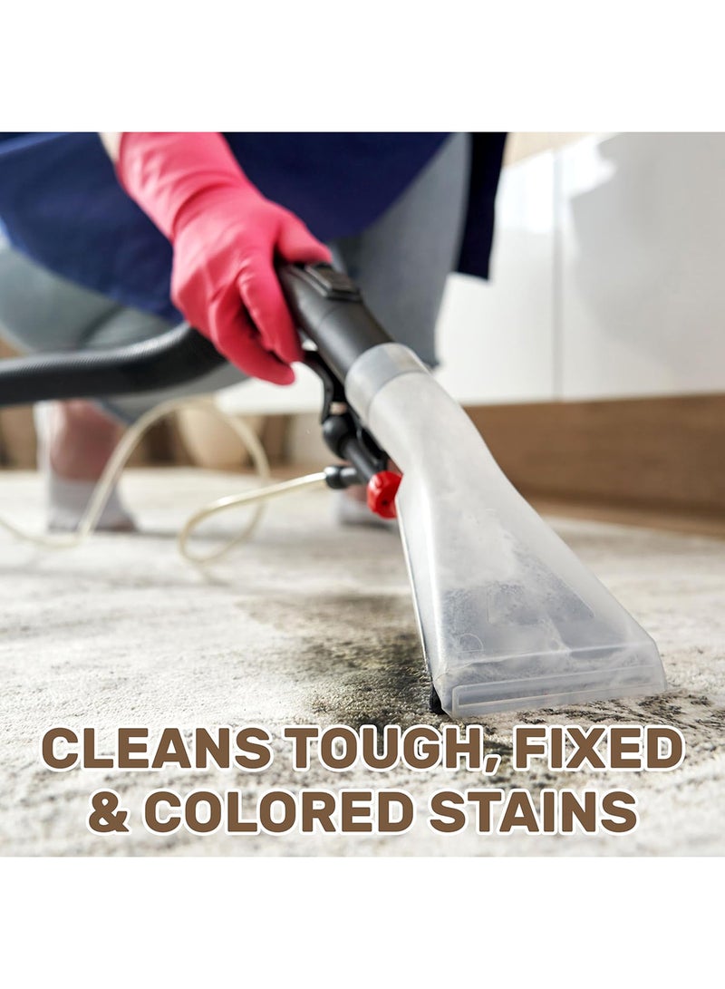 ECOLYTE+ شامبو ECOLYTE+ المطهر للسجاد والمفروشات الفاخر - Image 3